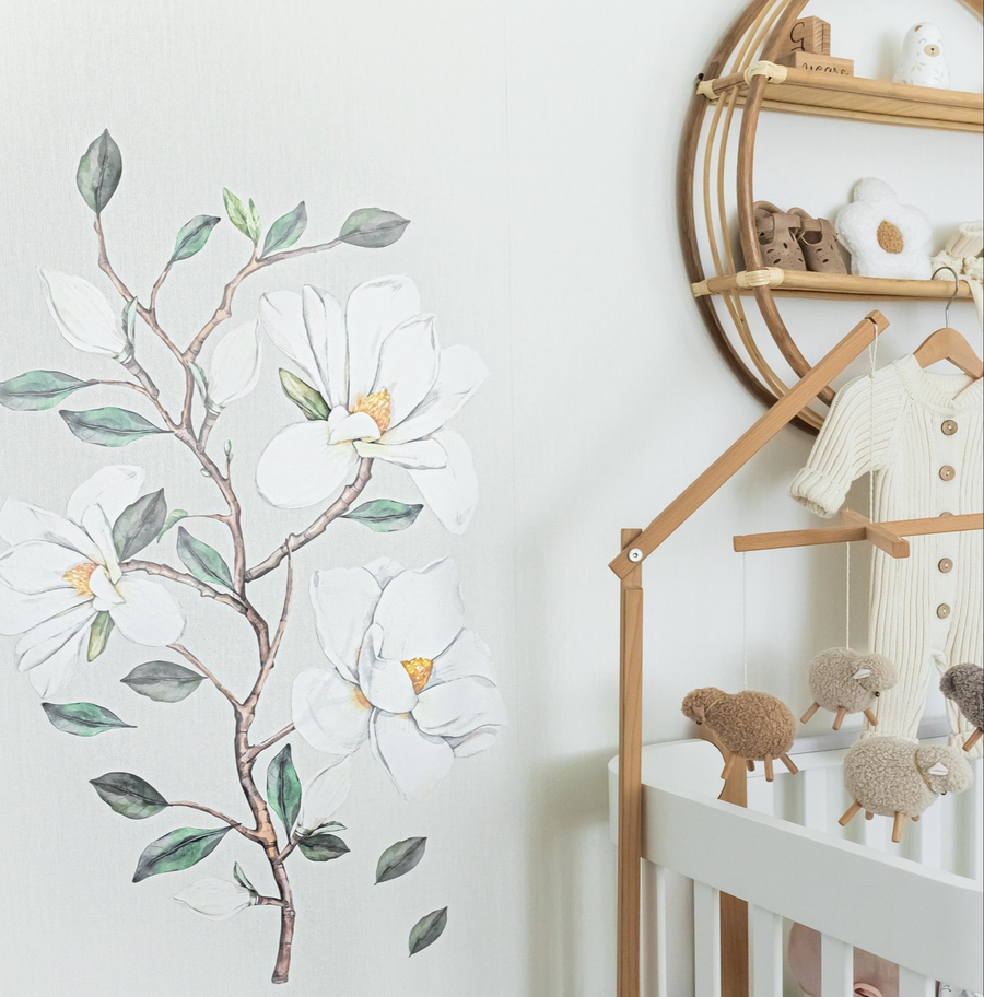 Магнолия Суланжа (белая)