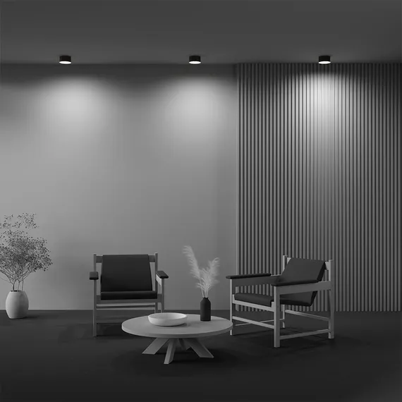 Потолочный светильник Зон / Zon 12 Вт 3000 К 120° Technical c032cl-12w3k-rd-b