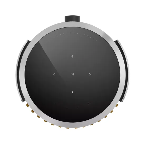 Bang & Olufsen Beolab 8 Silver/Oak, TS