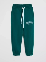 Спортивные штаны для мальчика для школы