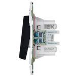 SKANDY Выключатель 2-клавишный перекрестный 10А SK-V06G графит IEK