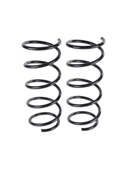 Пружина передняя L R Renault Clio II 09/98-05/05 GANZ GIK02649