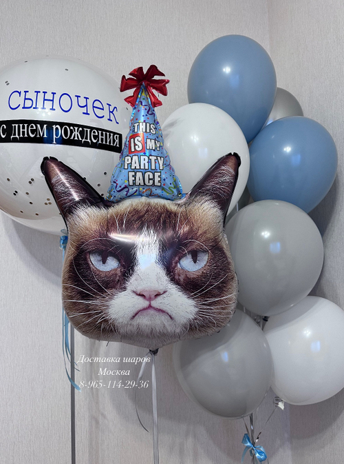 Сердитый кот с воздушными шариками