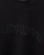 Толстовка Anteater Crewneck BigText черная
