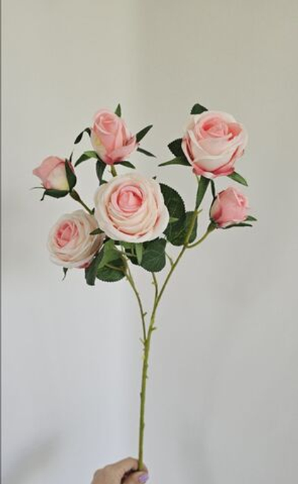 Роза кустовая / Арт 2272