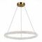 Подвесной светодиодный светильник ST Luce Avana SL6110.213.01