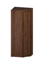 Шкаф угловой Карина ШК-1017