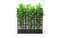 Кашпо пластиковое модульное Sipario 3