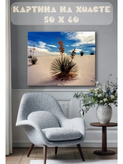 Картина на стену 40 X 50 Растения в пустыне