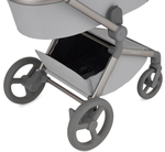 Детская коляска Anex Flo 2 в 1 Frossy