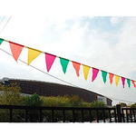 Гирлянда-вымпел-разноцветная-10м