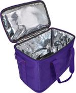 Термосумка 151