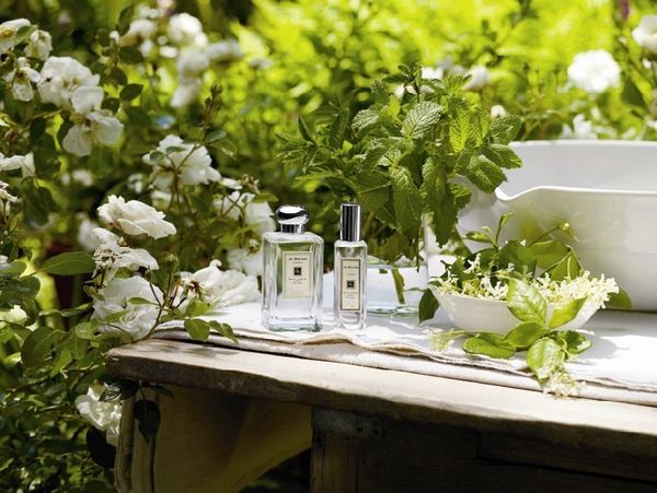 Jo Malone London Honeysuckle and Jasmine
