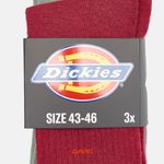  Носки Dickies Summerdale Socks 3 Pairs артикул:DK0A88QJK741 - купить в магазине Дайс