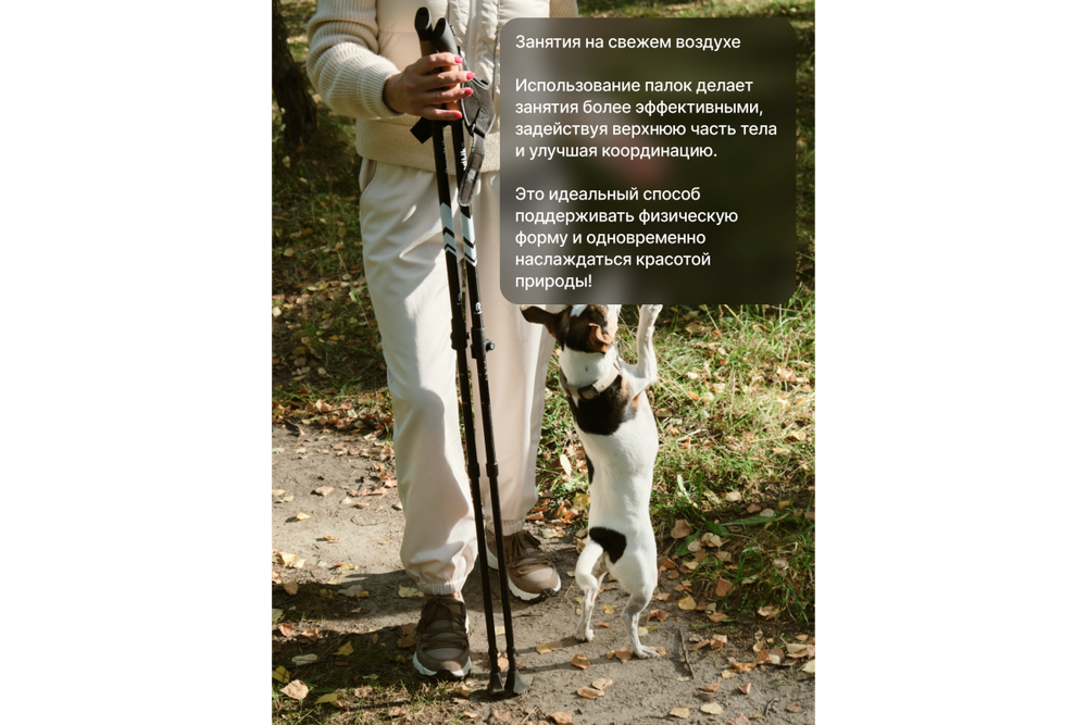 Палки для скандинавской ходьбы Roadlike Protect с антишоком, Flip-Lock Белый