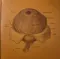 Orbital – Orbital - The Brown Album - Orange - 2LP