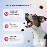 Функциональное лакомство Favet SuperFlora Soft Chews для пищеварительной системы для собак, 120г