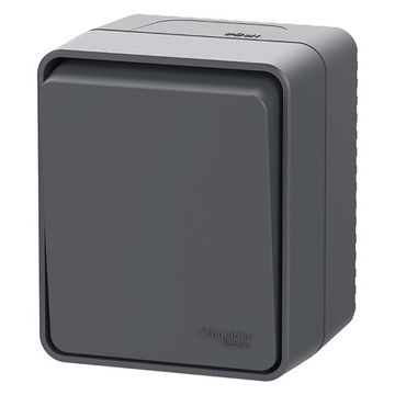 Выключатель кнопочный 1-кл. ОП AtlasDesign PROFI IP54 10АХ антрацит SE ATN544015