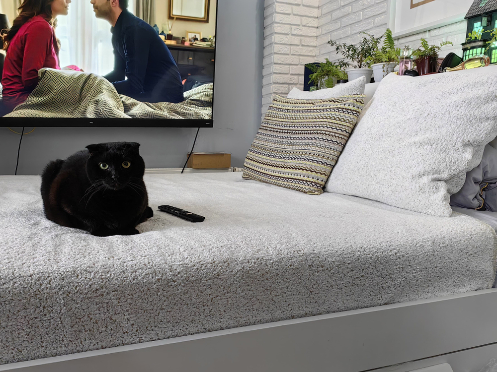 Текстильный комплект покрывало и подушки Альпака