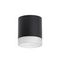 Комплект с потолочным светильником Lightstar Rullo (213487+202480) R348780