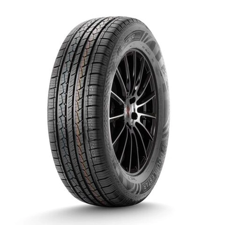 Летняя шина DoubleStar DS01 (225/65 R17 102T)