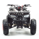 Квадроцикл MOTOLAND WILD 150