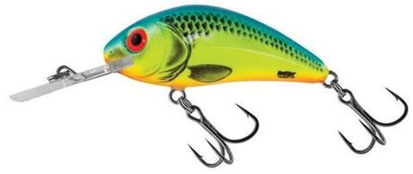 Hornet Rattlin 5.5F