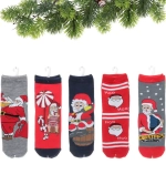 Носки новогодние «Дед мороз», микс 5 цветов, р-р36-42 (крючок, пакет, стикер)