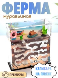Муравьиная ферма с муравьями в подарок "КАПИБАРА НА ПЛЯЖЕ" (170*170*65мм)