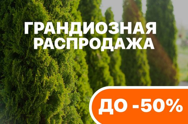 ГРАНДИОЗНАЯ ЛЕТНЯЯ РАСПРОДАЖА! ☀️