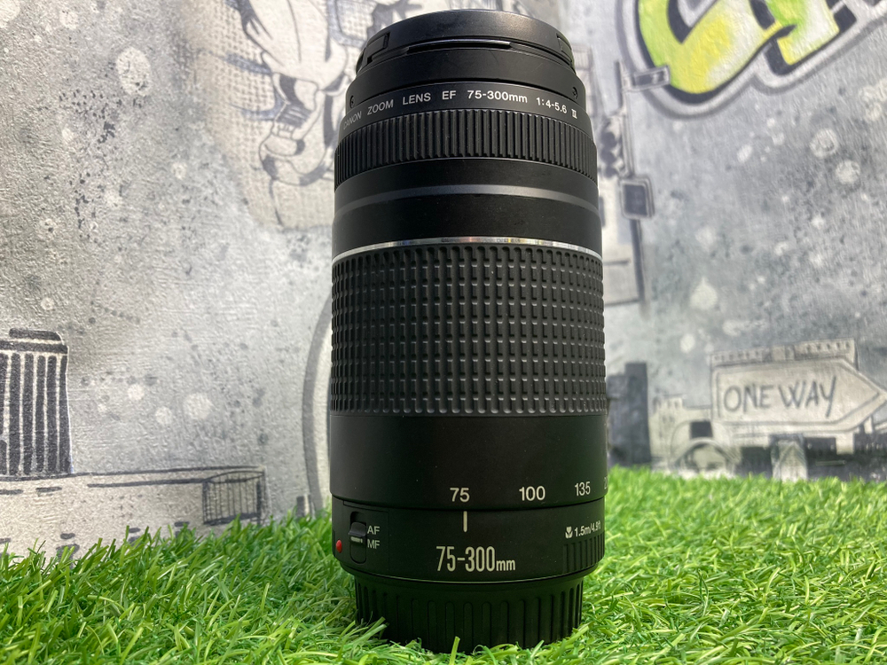 Canon EF 75-300mm 4-5.6 III