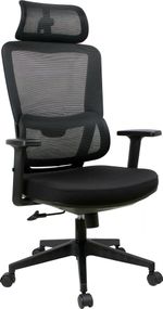 Эргономичное кресло Everprof Work Сетка Черный