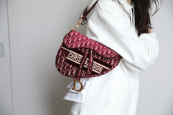 Christian Dior Saddle Bag 25 cm