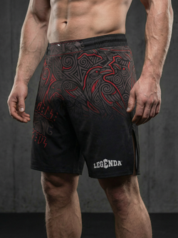 Шорты спортивные тренировочные черные LEGENDA Вальхалла