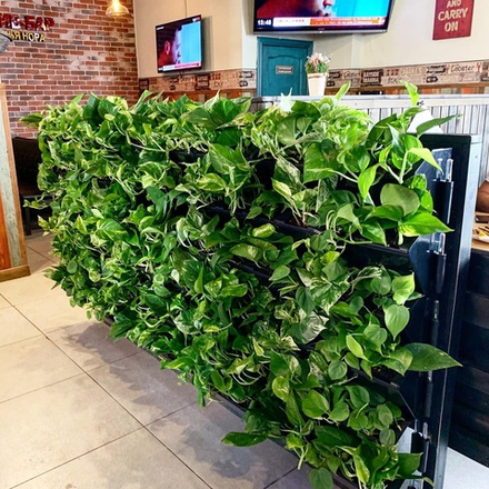 19.06. Вертикальное озеленение живыми растениями с помощью фитомодулей Hydro Falls. г.Новороссийск