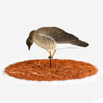 Гусь гуменник Duck Mania "ALFA"