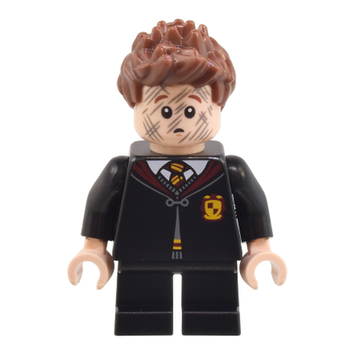 Симус Финниган hp491