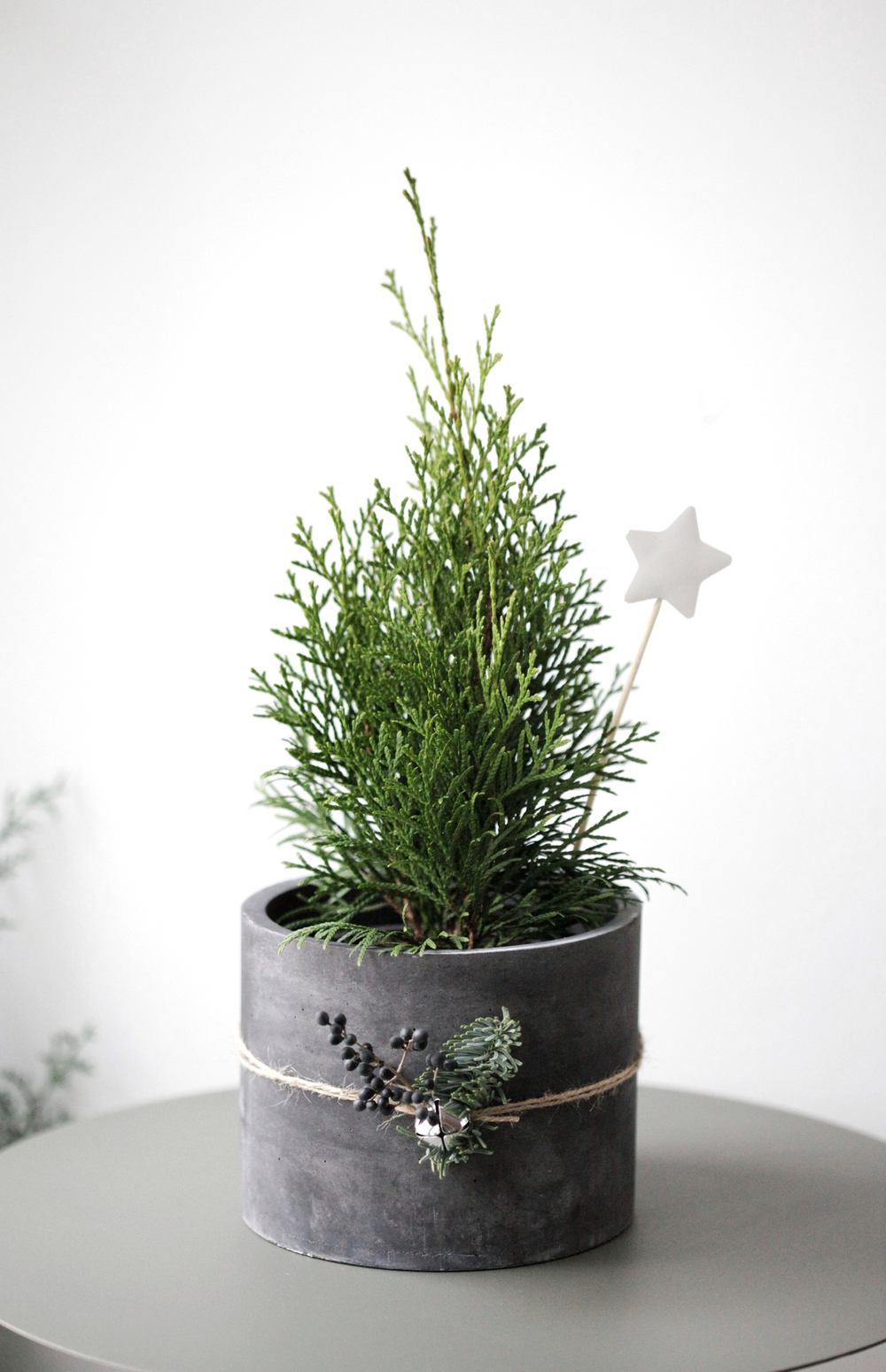 Новогодний набор с Туей в бетонном кашпо № 11