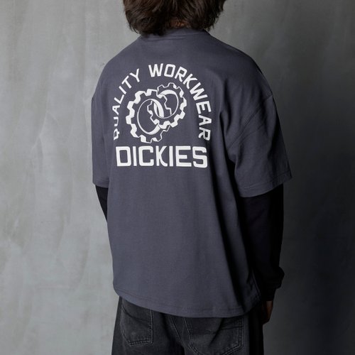 Лонгслив Dickies Payson 2-in-1 Let T-shirt артикул:DK0A88JFBLK1 - купить в магазине Дайс