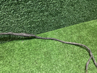 Проводка заднего бампера Mercedes V w447 (2014-нв)