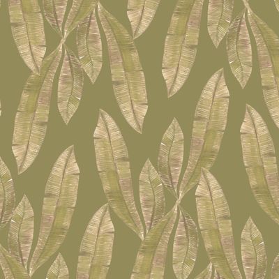 Листья кофе