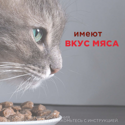 Суспензия для кошек от всех видов гельминтов и глистов АВЗ Диронет со шприцом дозатором, 15 мл пирантел/ празиквантел/ ивермектин