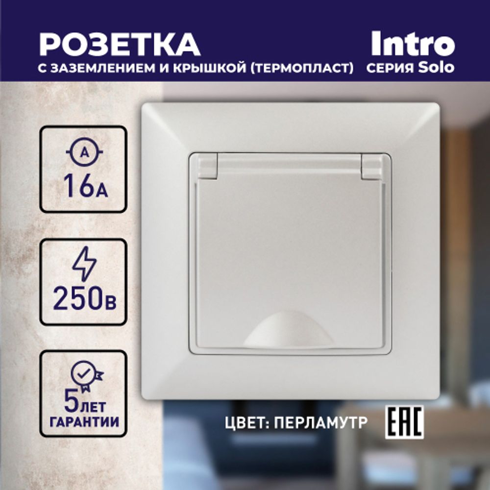 Розетка Intro Solo 4-203-06 с заземлением 2P+E Schuko с крышкой, 16А-250В, IP20, СУ, перламутр