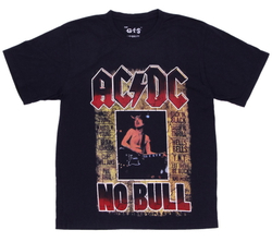 Футболка AC/DC NO BULL (920)