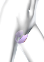 Сиреневый U-образный стимулятор клитора и точки G с пультом ДУ Wonderlover (Цвет: сиреневый)