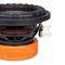 Сабвуфер DL Audio Raven 10 v.2