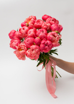 Пионы Корал Шарм