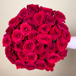 Букет цветов из 35 красных роз Россия