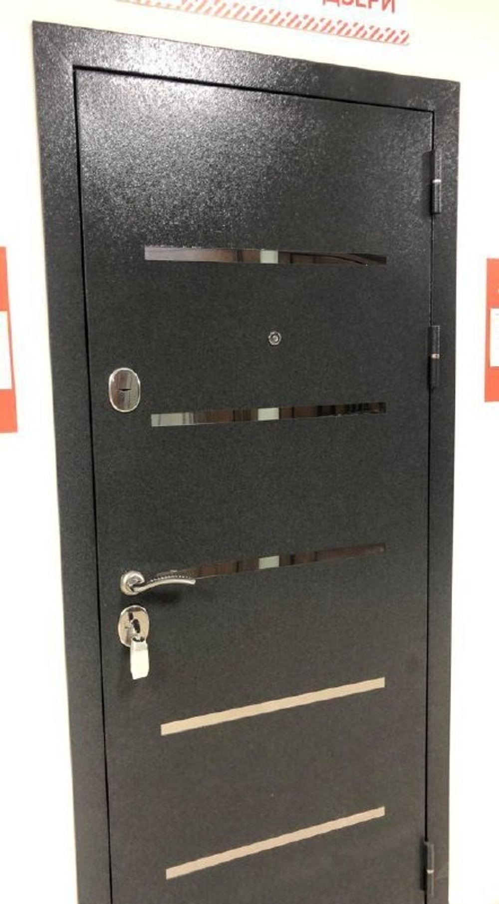 Дверь входная Токио