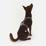 Анатомическая шлейка Cow